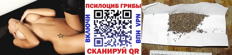 где найти   Красноперекопск  Псилоцибиновые грибы мицелий 